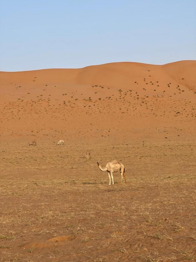 Thousand Stars Desert Camp Badīyah Buitenkant foto